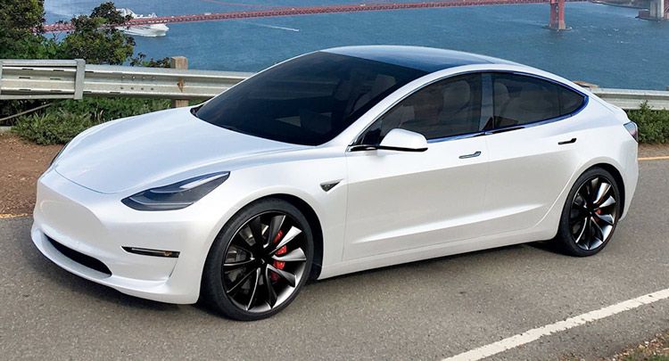 Tesla Model 3 автомобиль для владельцев собак